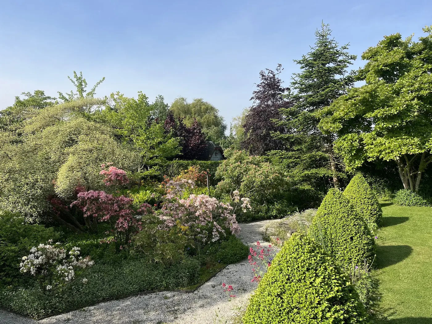 Slingerend grindpad door weelderige azalea's en struiken onder blauwe lucht