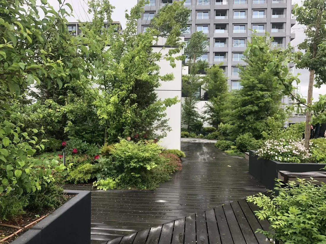 Dok Zuid in Antwerpen: bomen, gazon en de stad op de achtergrond