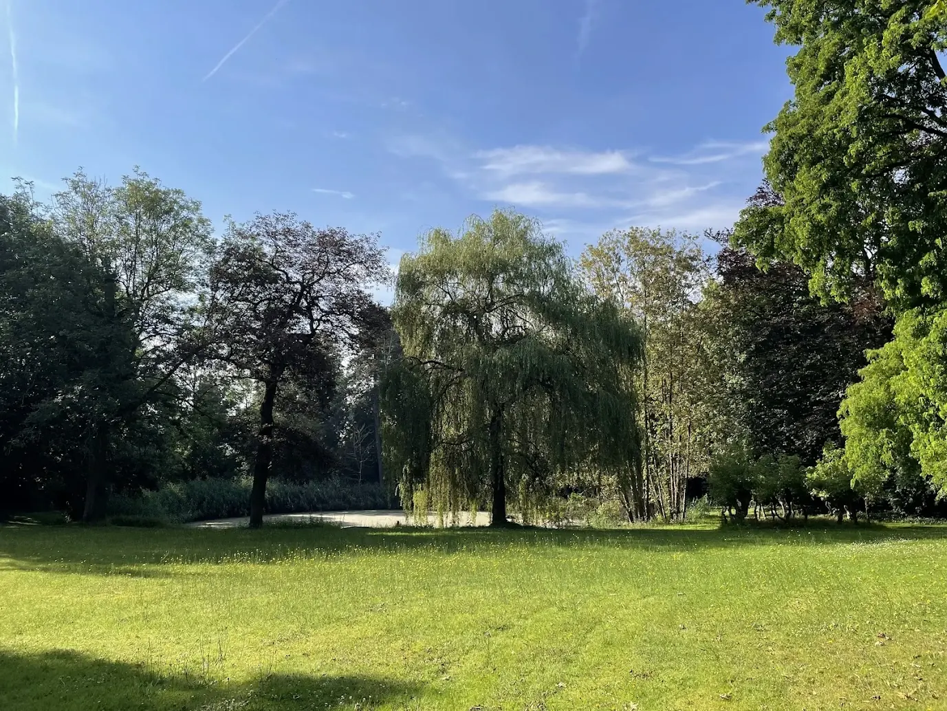 Tuin met vijver, gazon en volwassen bomen