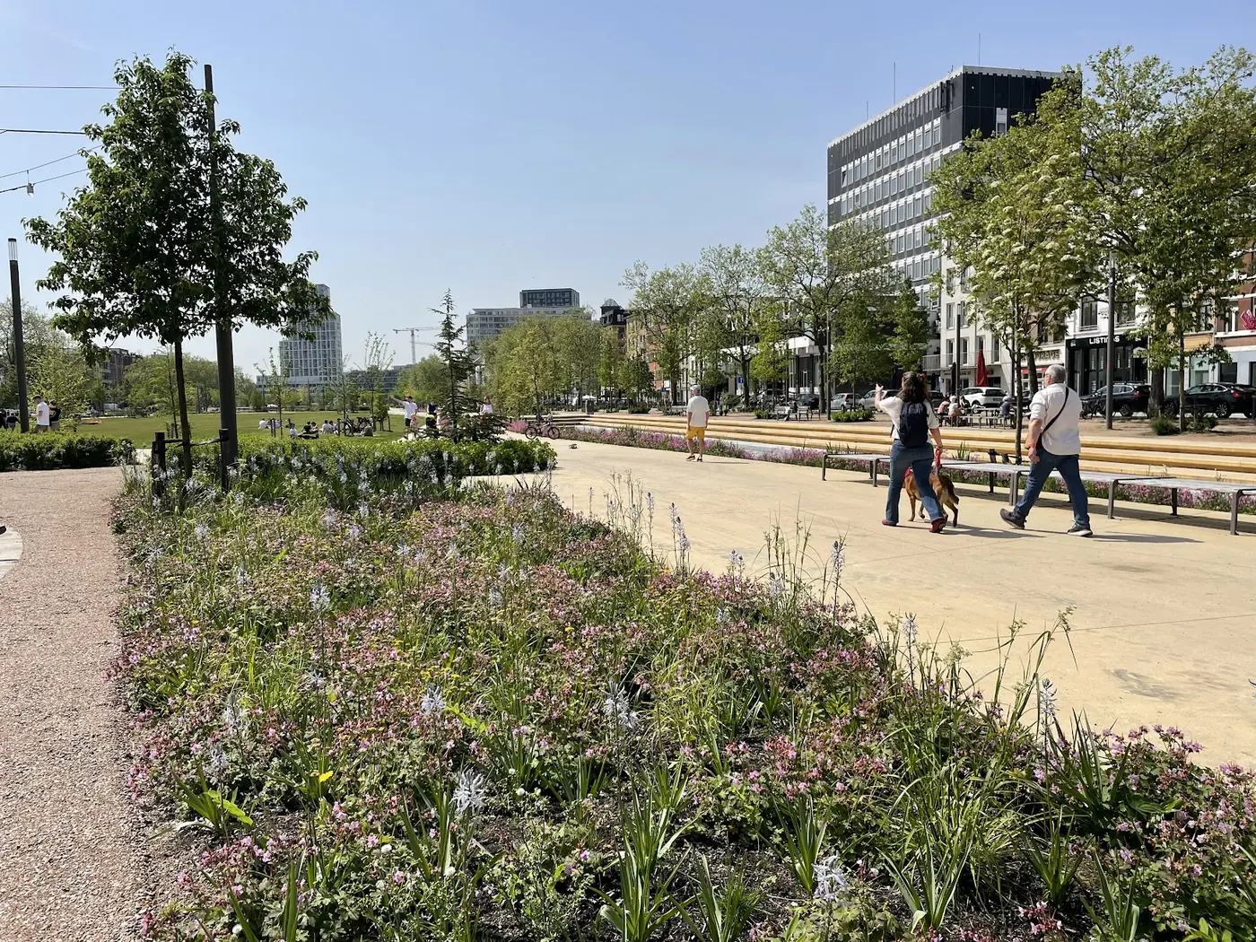 Stadspark met bloemenborders, bomen en een licht pad