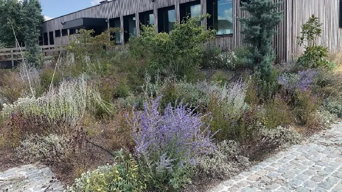 Bloemenweide met textuur en beweging